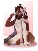 Dtpay -owner:Pinkpuppy